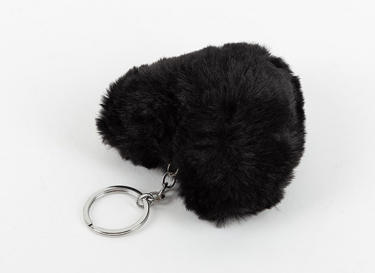 جا سوئیچی خز