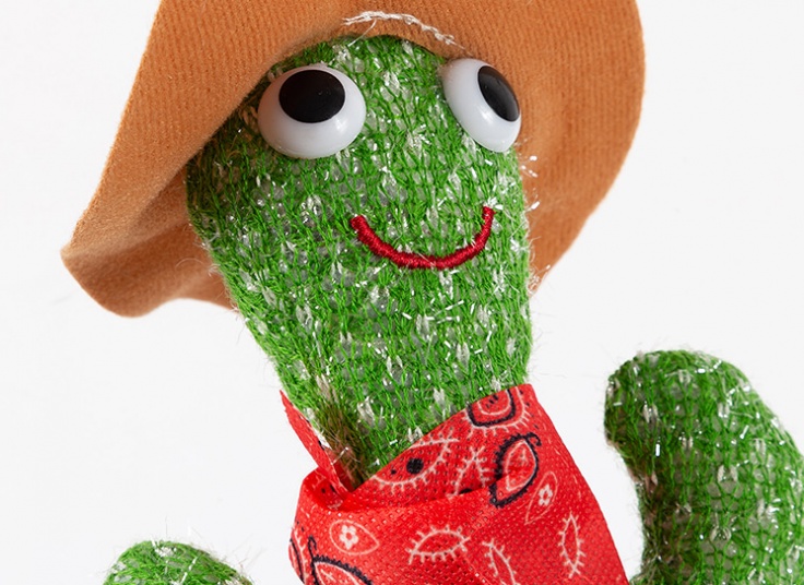 کاکتوس سخنگو لباس دار شارژی