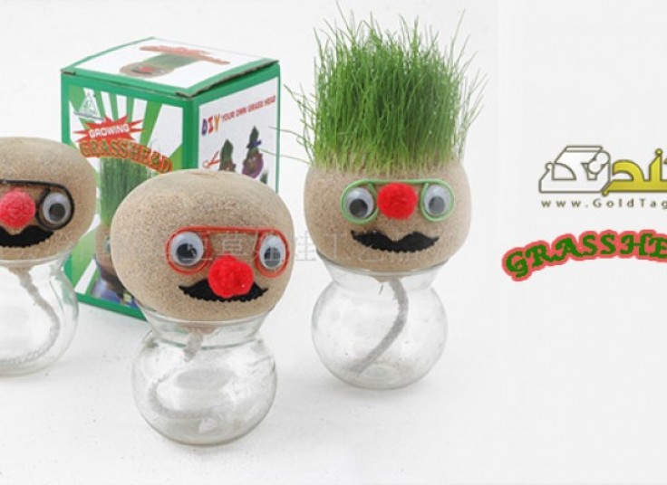سبزه عید آدمکی GrassHead