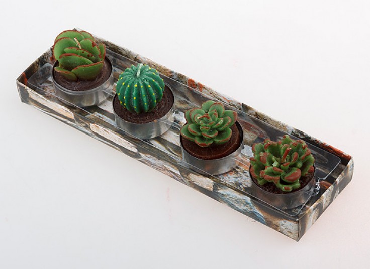 شمع تزئینی طرح کاکتوس