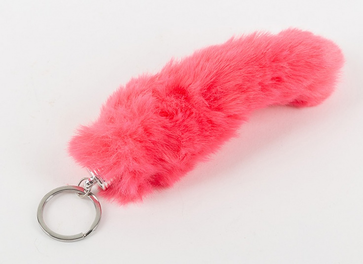 جا سوئیچی خز