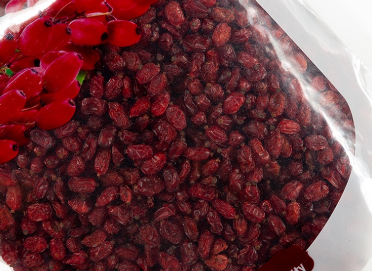 زرشک سحرخیز