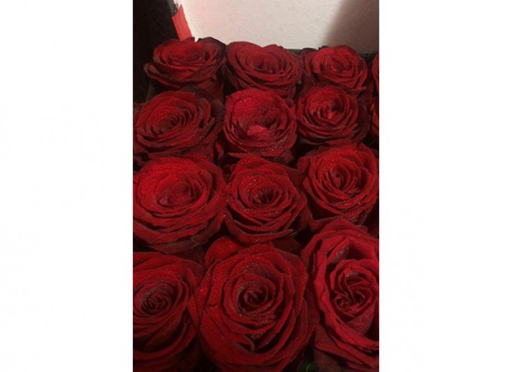 گل فروشی رز سفید