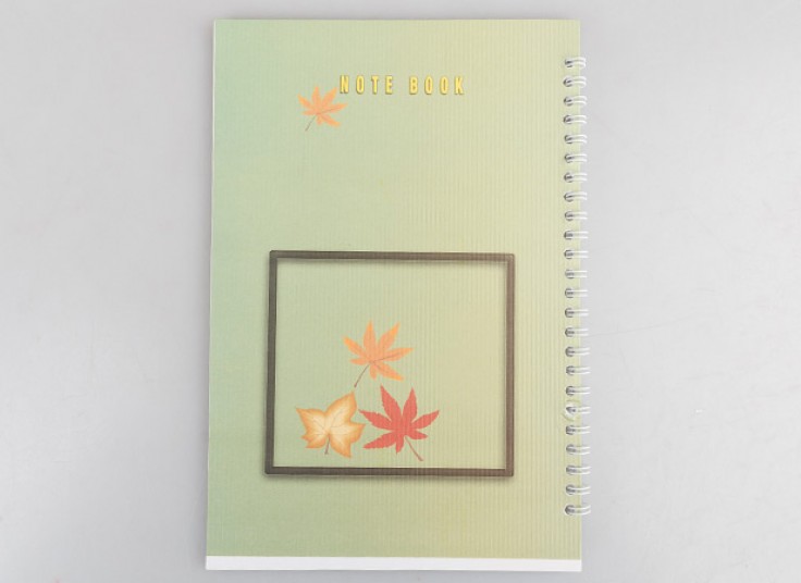 دفتر نقاشی سیمی طرحدار