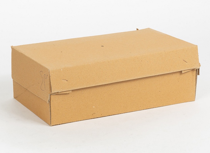 کفش مردانه سورن