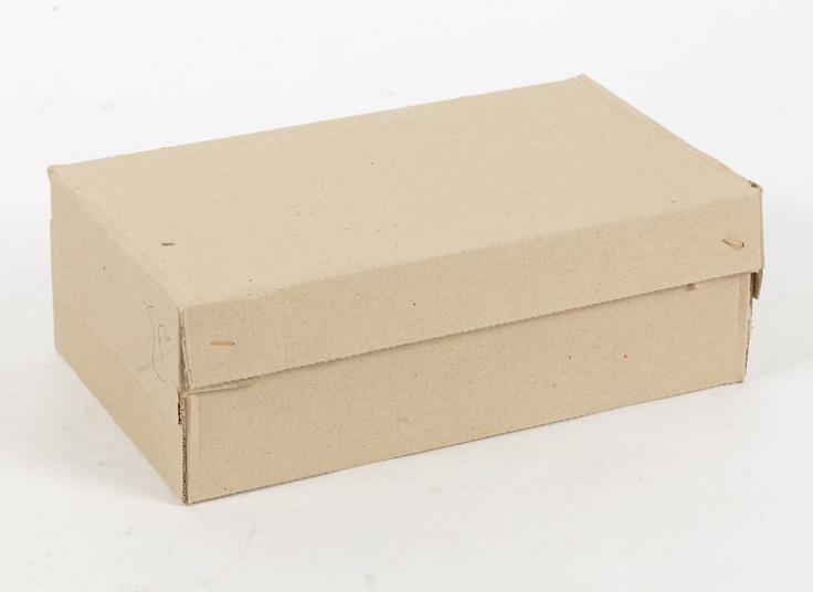 کفش مردانه پارس