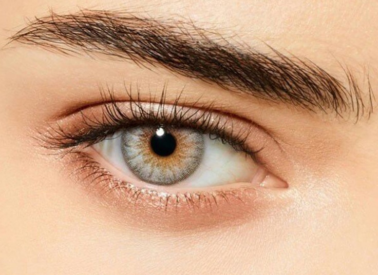 لنز چشم طبی رنگی New vision