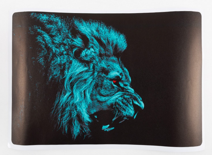 استیکر لپ تاپ