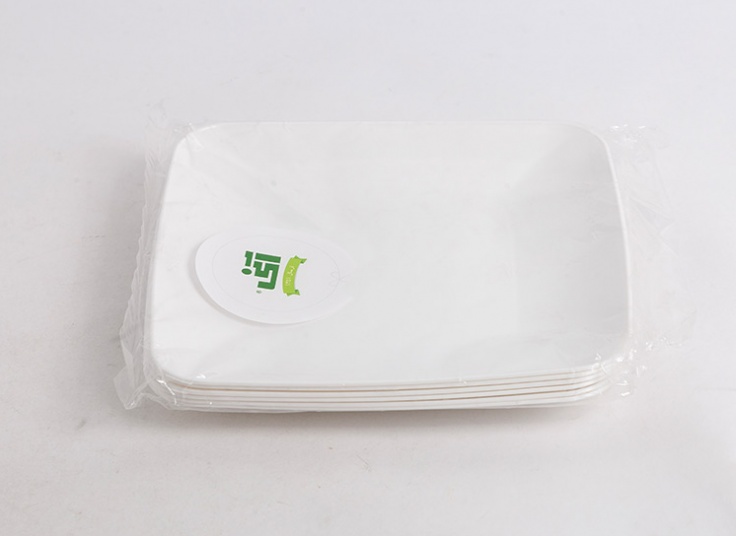 ظروف یکبار مصرف آنی