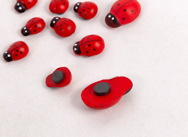 بسته 10 عددی مگنت طرح کفشدوزک