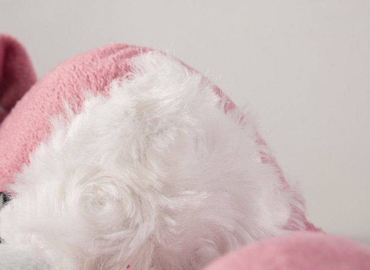 3 مدل عروسک کادویی جدید