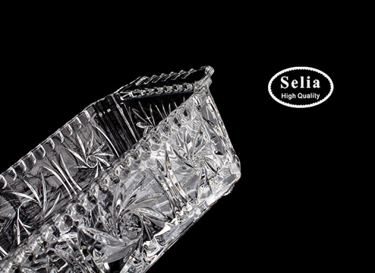 بیسکوییت خوری Selia