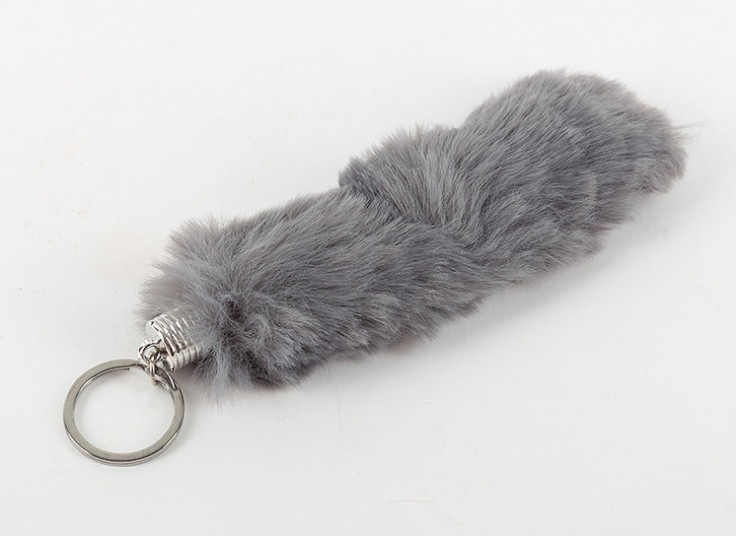 جا سوئیچی خز