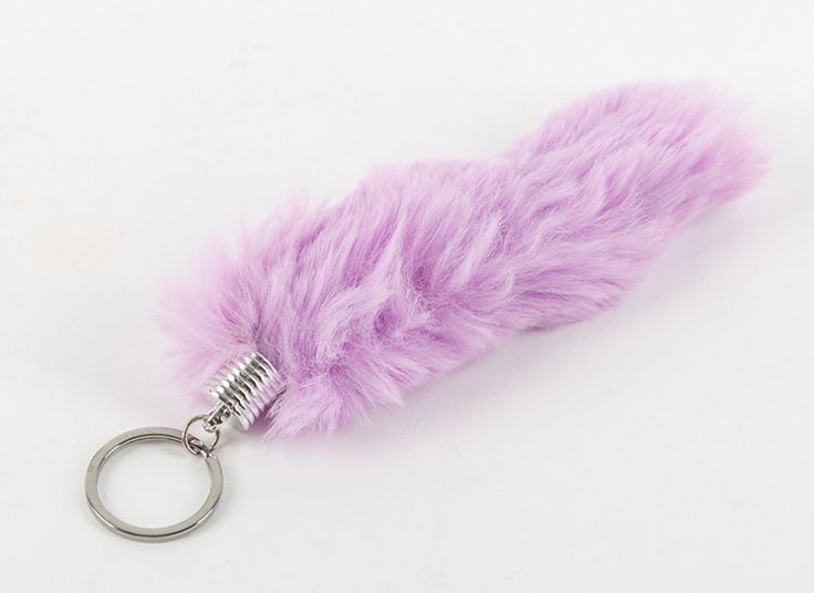 جا سوئیچی خز