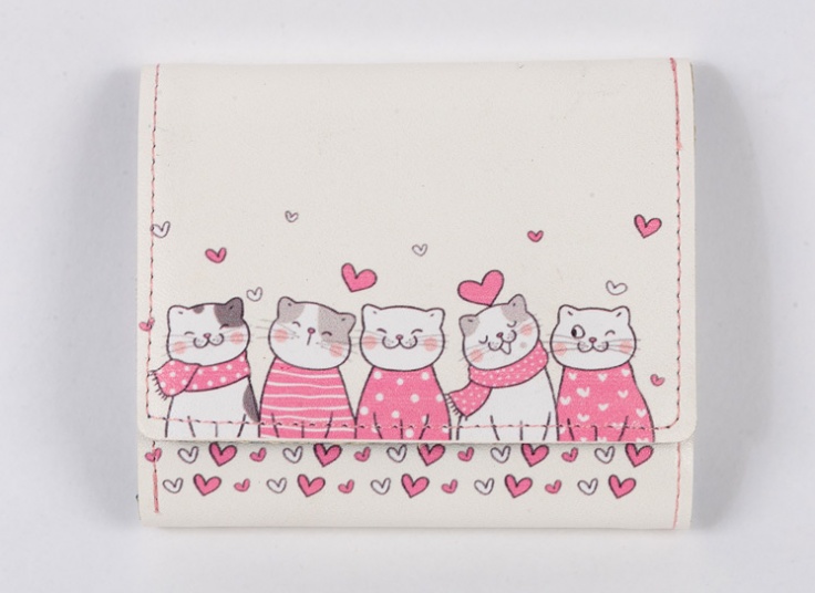 کیف پول و جاکارتی فانتزی