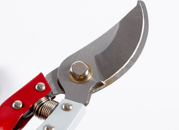 قیچی مخصوص باغبانی