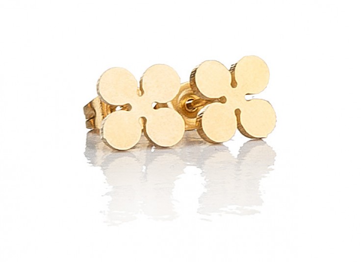 گوشواره استیل اقلیمه