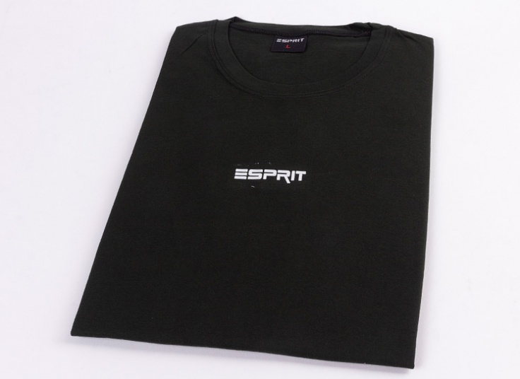تیشرت آستین کوتاه مردانه Esprit