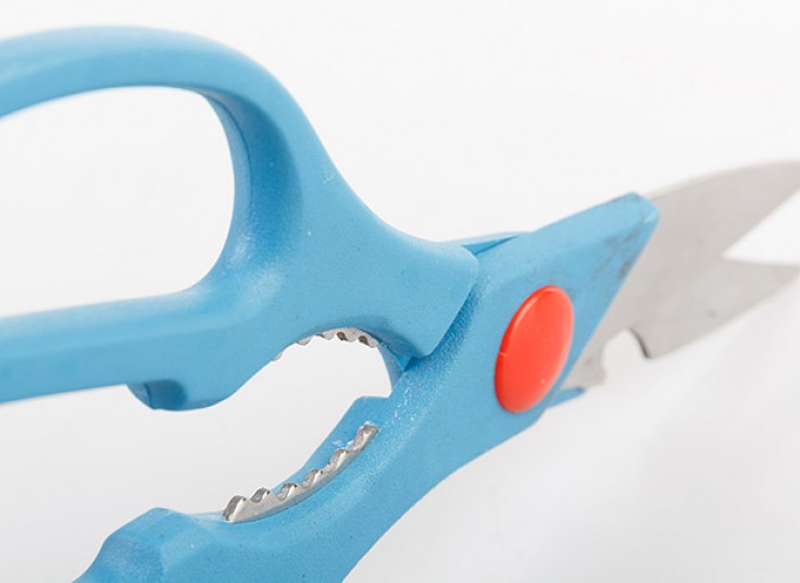 قیچی آشپزخانه TS Best