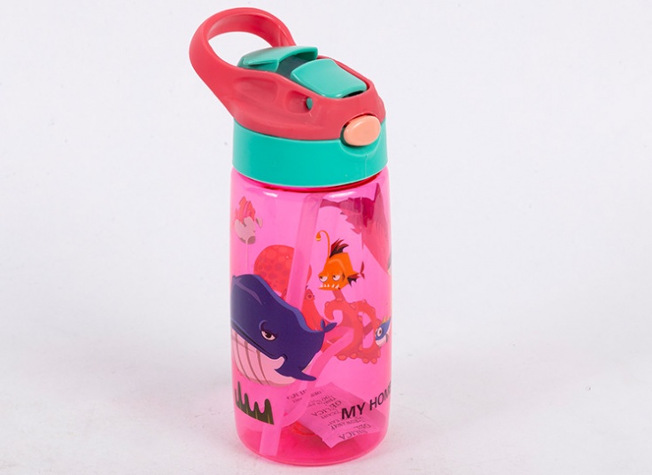 قمقمه نی‌ دار بچگانه My Home