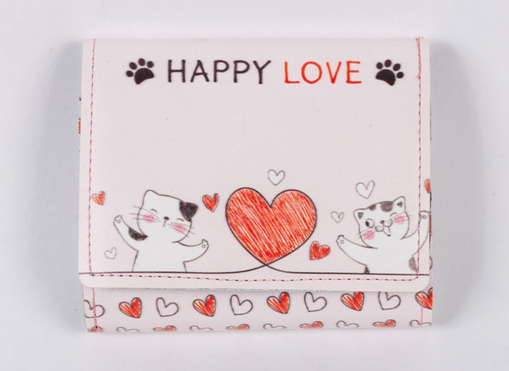 کیف پول و جاکارتی فانتزی