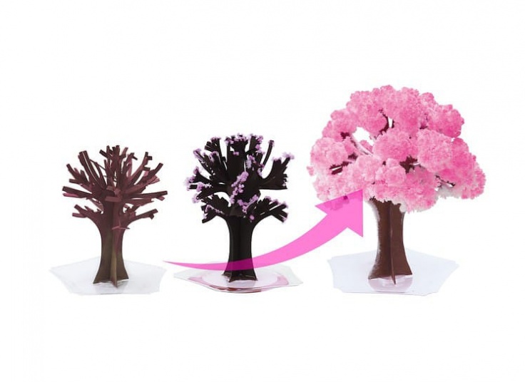 درخت جادویی SAKURA