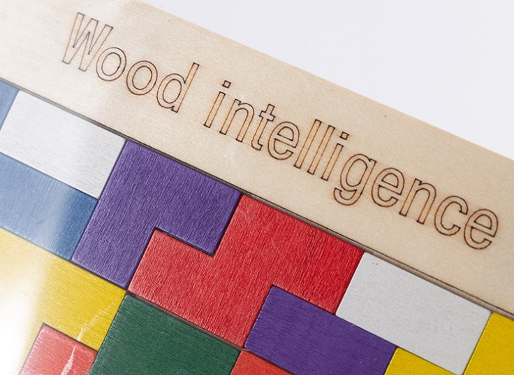 بازی فکری کاتامینو