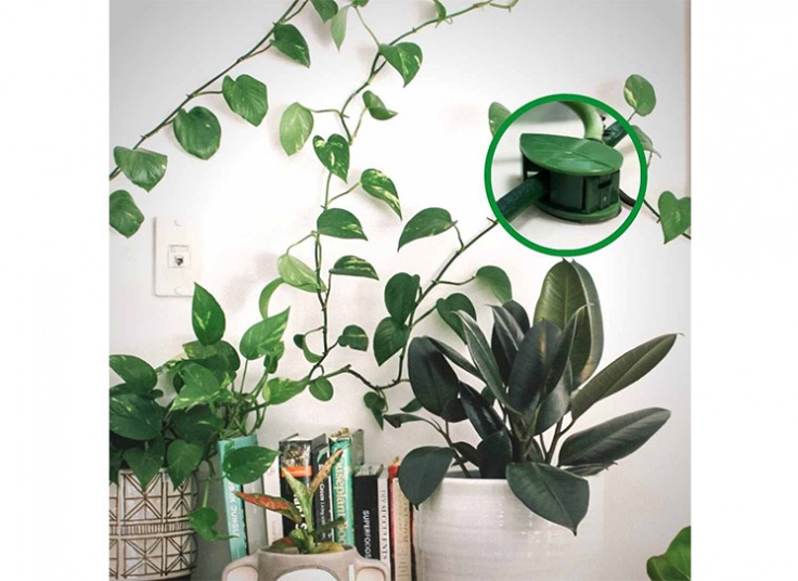 گیره نگهدارنده گل و گیاه