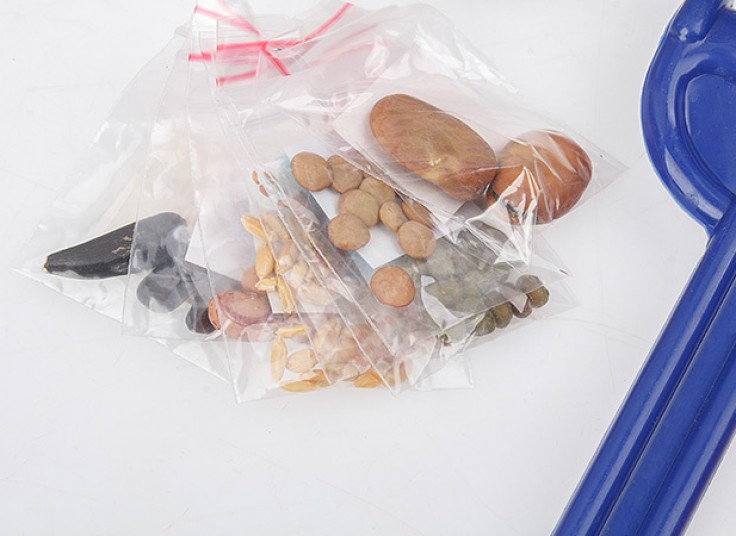 بسته آموزشی باغبانی کودک SANIGOL