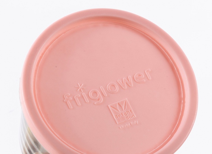 ظرف نگهدارنده Frigiower