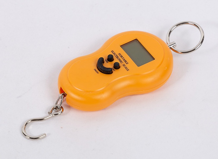 ترازوی دستی EureCare