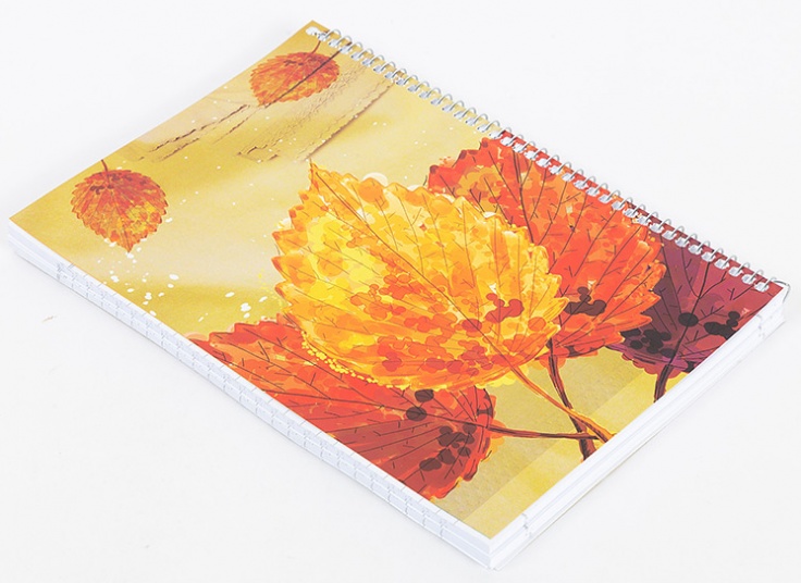 دفتر سیمی طرحدار