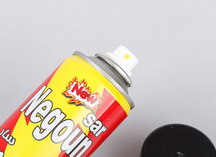 اسپری حشره کش Negoun sar