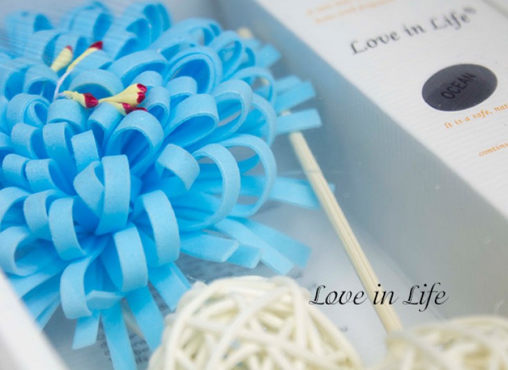 خوشبو کننده هوا Love in Life