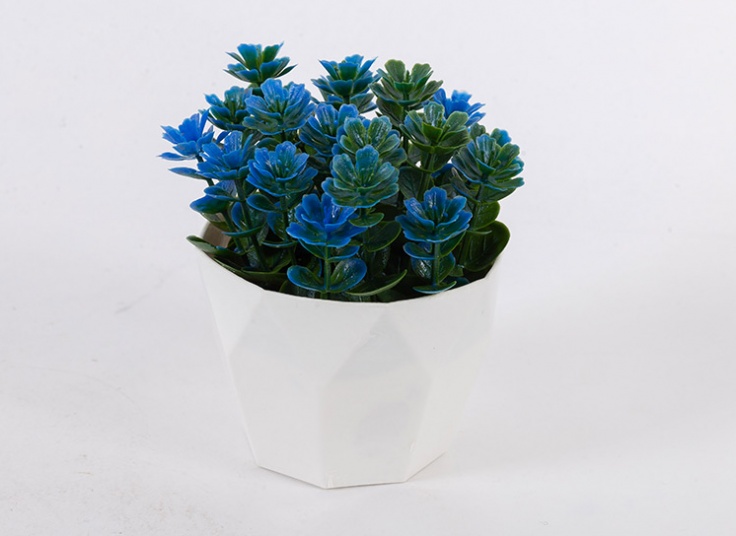 گلدان تزئینی شمشاد