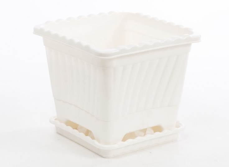 گلدان و زیر گلدانی پلاستیکی