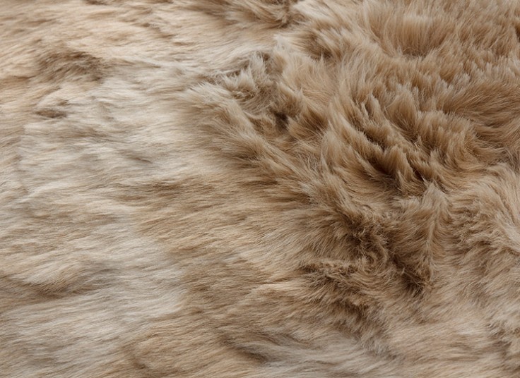 پادری طرح پوست LC Waikiki