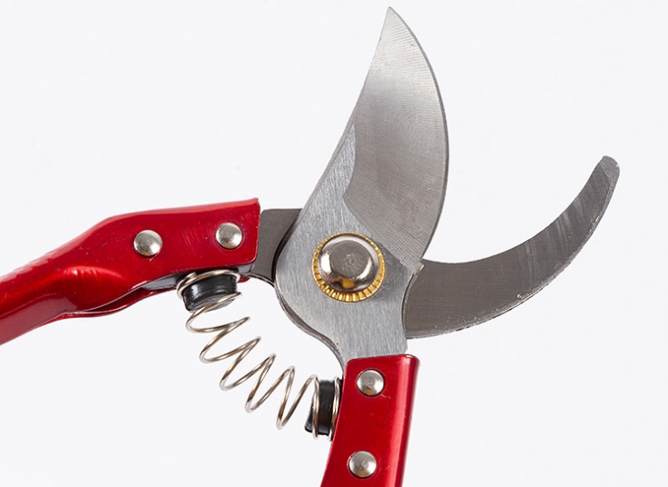 قیچی باغبانی