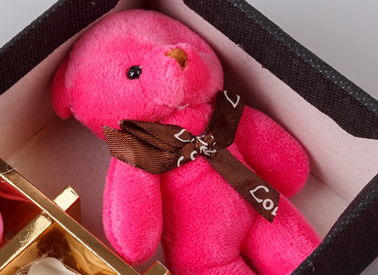 پکیج کادویی خرس