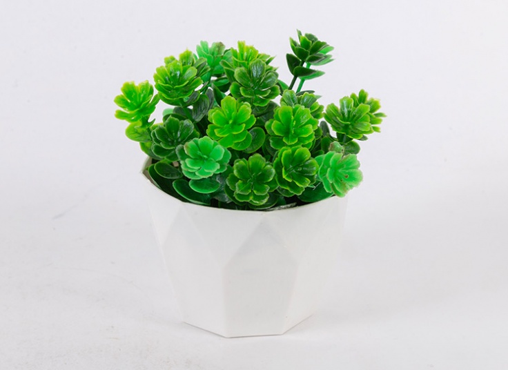 گلدان تزئینی شمشاد