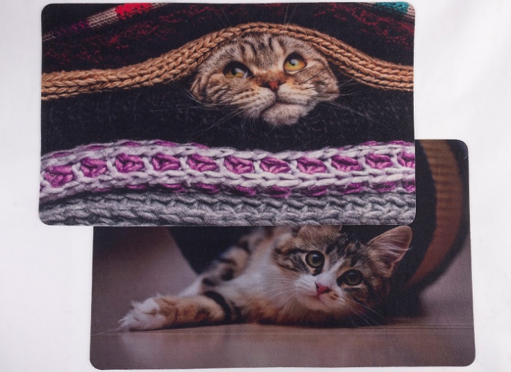 پادری موکتی