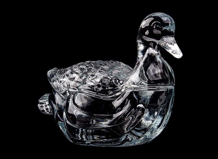 شکلات خوری قو