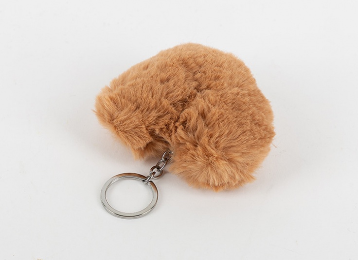 جا سوئیچی خز