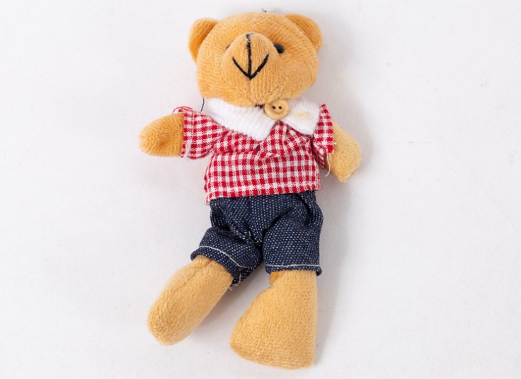 جاکلیدی عروسکی تدی