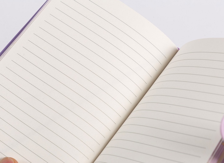 دفترچه مگنتی COSMIC RABBIT