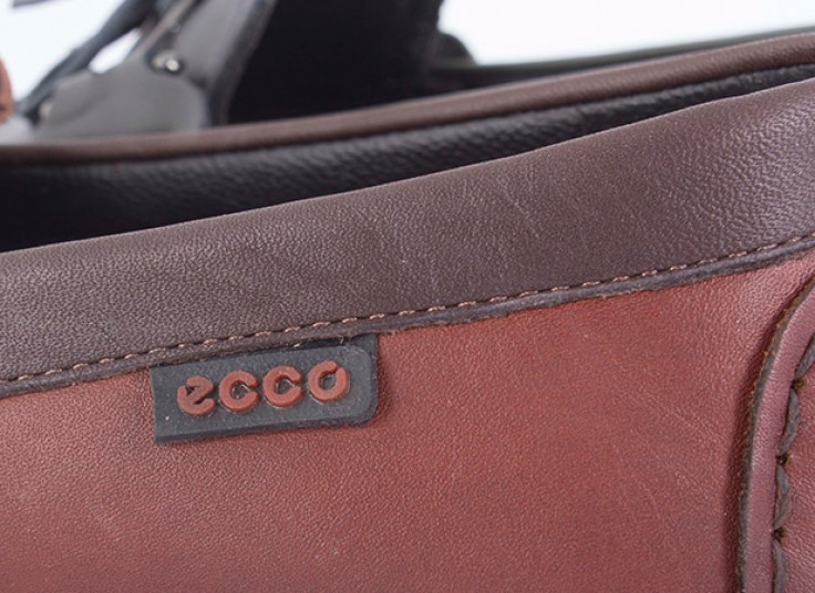 کفش کالج ecco