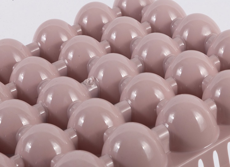 جا تخم مرغ 30 عددی Sevda