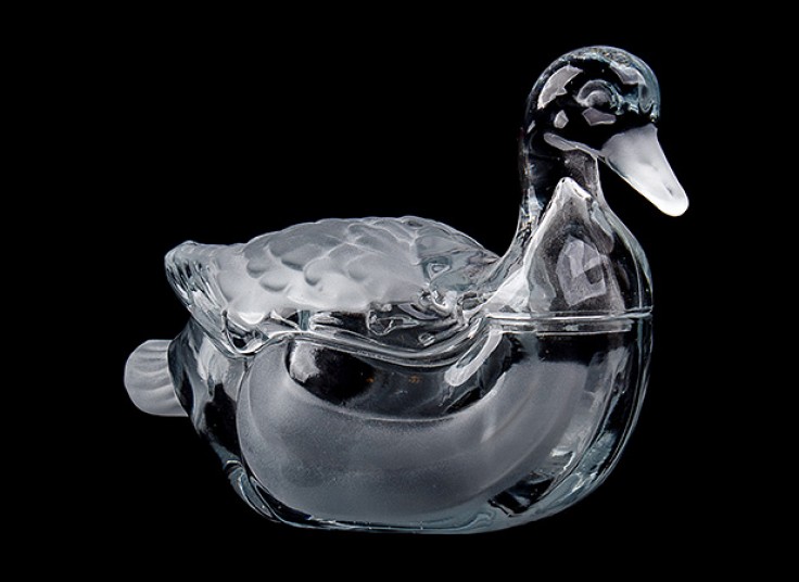 شکلات خوری قو