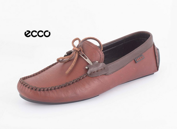 کفش کالج ecco