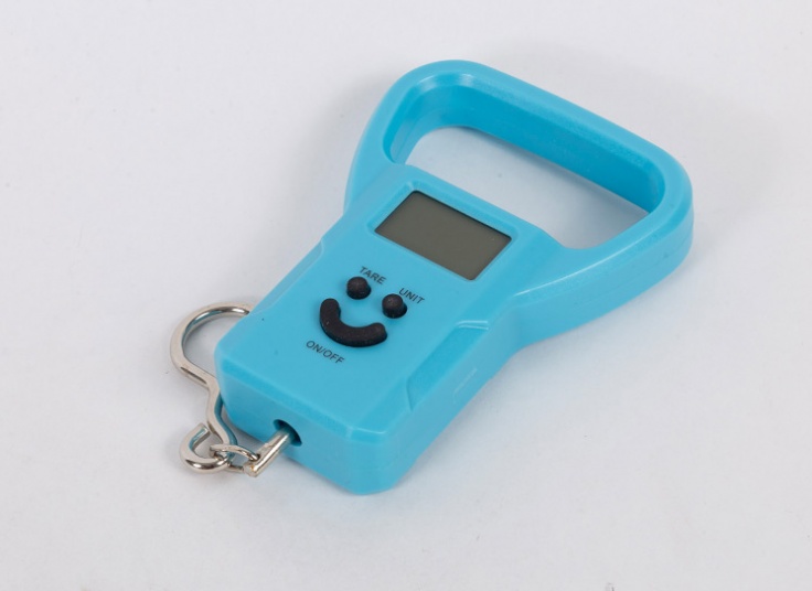 ترازوی دیجیتال دستی Electronic Pprtable Scale